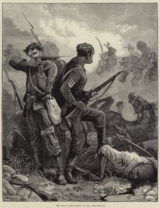 The War in Afghanistan, at Bay