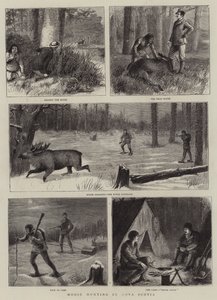 Moose Hunting in Nova Scotia