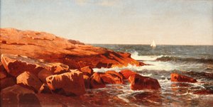 Rocky Shore