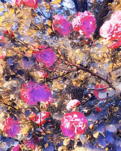 Roses for Virgin Maria by Margareta Uliarte