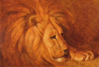 Lion at Rest by Abbott Handerson Thayer