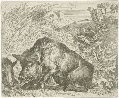 Wild Boar by Abraham Danielsz. Hondius