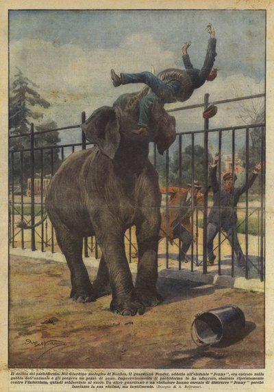 The Crime of the Pachyderm by Achille Beltrame