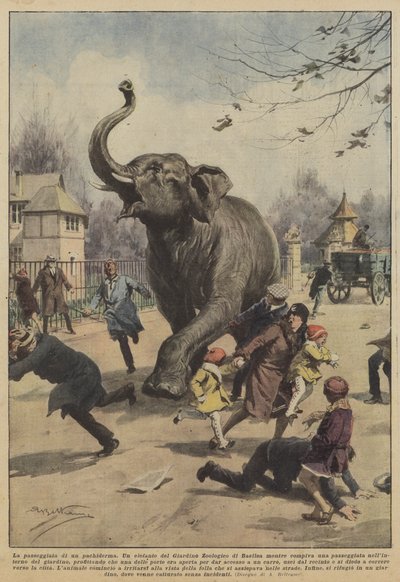 The walk of a pachyderm by Achille Beltrame