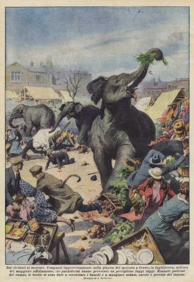 Three Elephants at the Market by Achille Beltrame