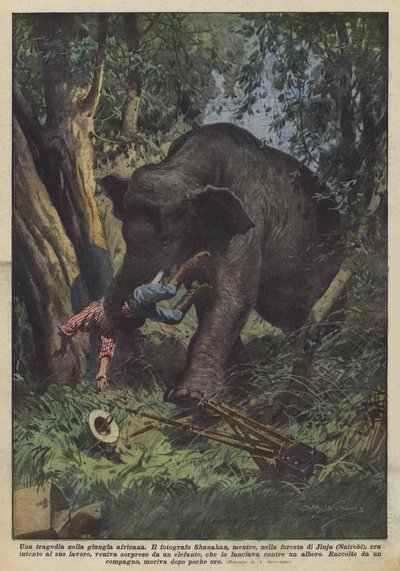 A Tragedy in the African Jungle by Achille Beltrame