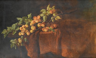 Apricot Branch by Adam Ludwig Kunz