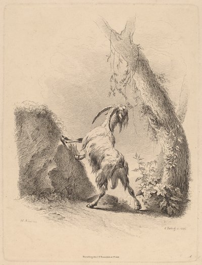 Goat in a Landscape, 1805 by Adam von Bartsch