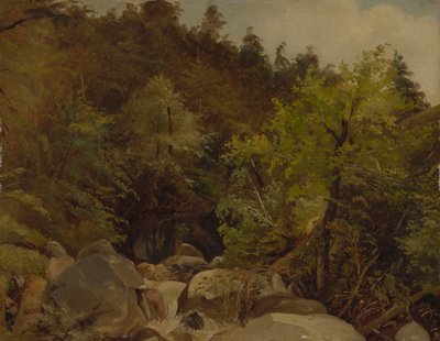 Waterfall near Ohlstadt by Adolf Heinrich Lier