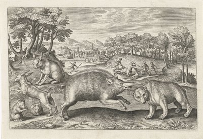 Game Animals by Adriaen Collaert