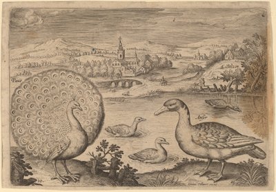 Peacock and Goose by Adriaen Collaert