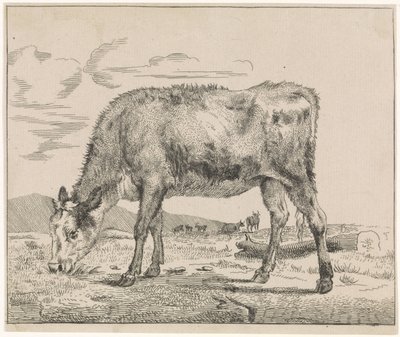 Grazing Calf by Adriaen van de Velde