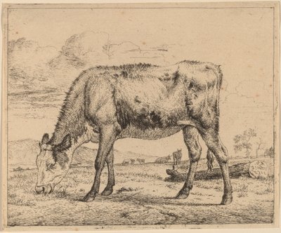 Grazing Calf by Adriaen van de Velde