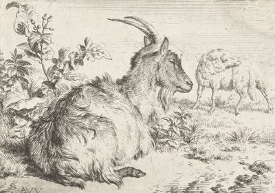 Lying Goat by Adriaen van de Velde