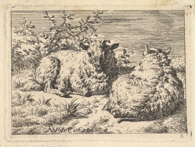 Two Recumbent Sheep by Adriaen van de Velde