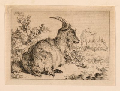 A Goat by Adrian van de Velde