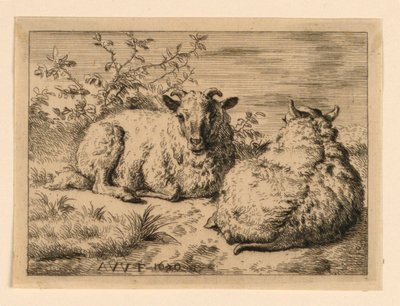 The Two Sheep by Adrian van de Velde