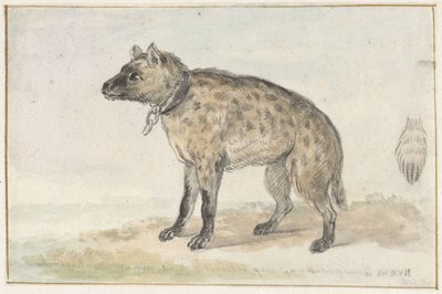 Spotted Hyena by Aert Schouman