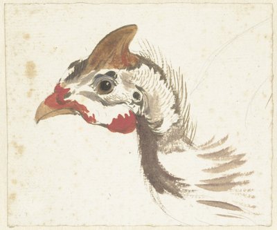 Head of a Helmeted Guineafowl by Aert Schouman