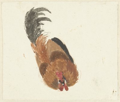 Study of a dead rooster by Aert Schouman