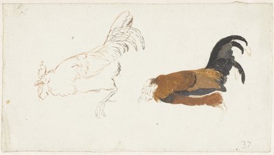 Two Studies of a Dead Rooster by Aert Schouman