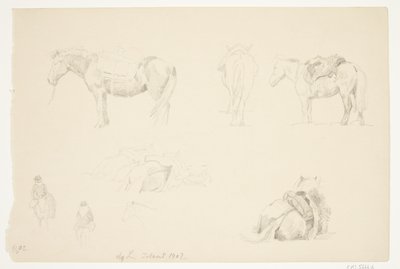 Study Sheet with Horses by Agnes Lunn