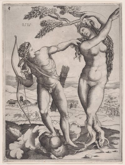 Apollo and Daphne by Agostino Veneziano
