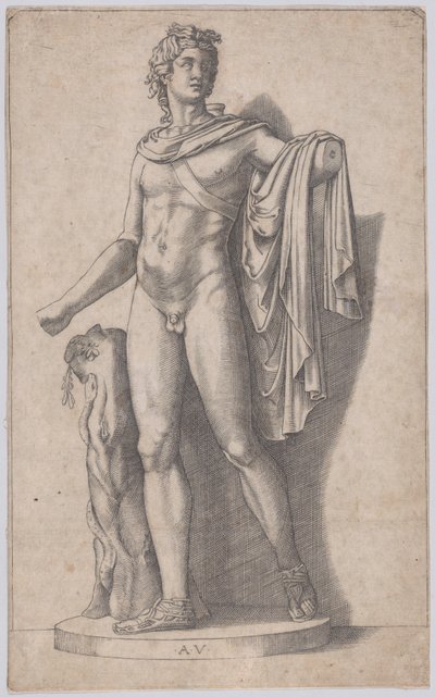 Apollo by Agostino Veneziano