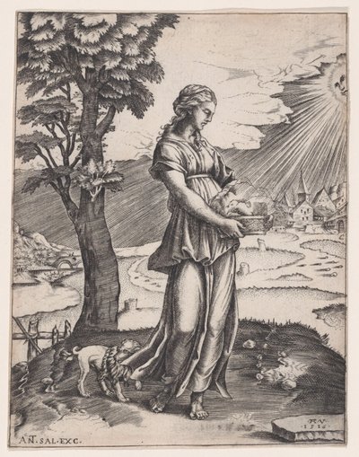 The Cumaean Sibyl by Agostino Veneziano