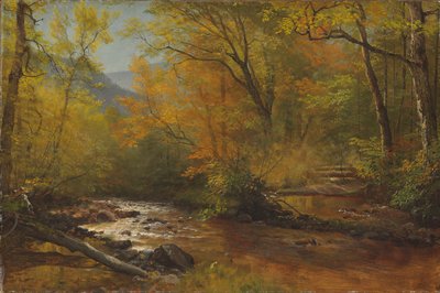 Brook in Woods by Albert Bierstadt