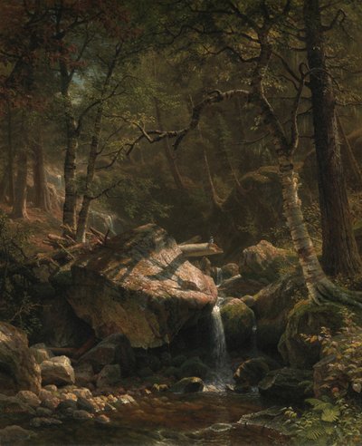 Mountain Brook, 1863 by Albert Bierstadt