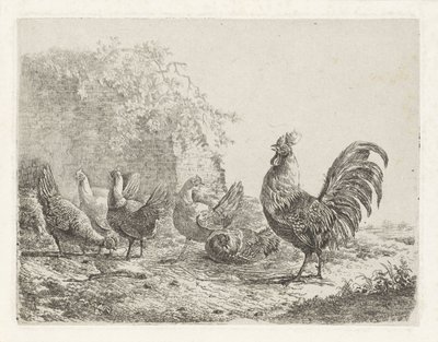 Rooster with Five Hens by Albertus Verhoesen