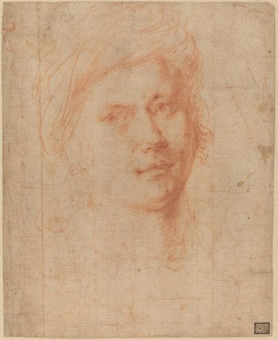 Head of a Youth by Alessandro Allori