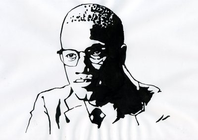 Malcolm X (1925-1965) African-American Activist by Alessandro Lonati
