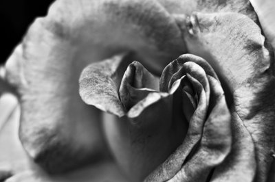 Untitled by Alex Caminker