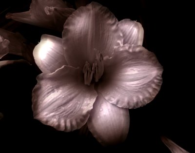 Untitled by Alex Caminker
