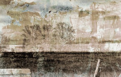 Brown fog, 2019 by Alex Caminker