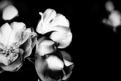 Tenderness, 2019 by Alex Caminker