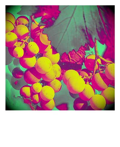 Untitled by Alex Caminker