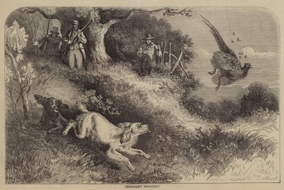 Pheasant Shooting by Alfred Courbould