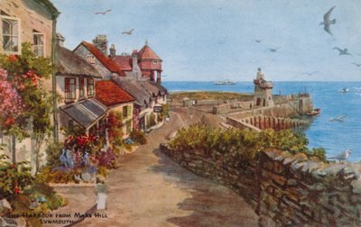 The Harbour from Mars Hill, Lynmouth by Alfred Robert Quinton