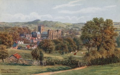 Wells Cathedral from Milton Hill by Alfred Robert Quinton