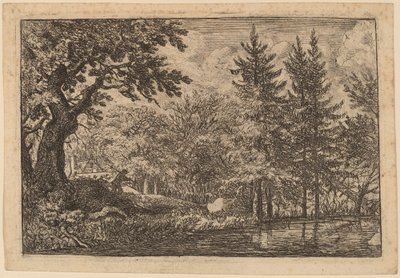 Fir Trees at the Water by Allart van Everdingen