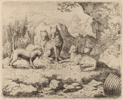 The Cat Sent as Messenger by Allart van Everdingen