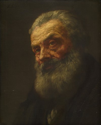 Portrait of an Old Man by Alphonse Legros