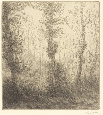 Small Lake by Alphonse Legros