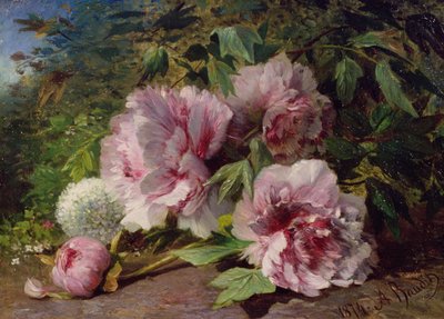 Study of Peonies by Amedee Baudit