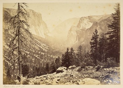 Yosemite Valley from Inspection Point by American Photographer