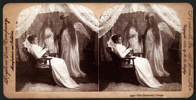 The Heavenly Twins by American School