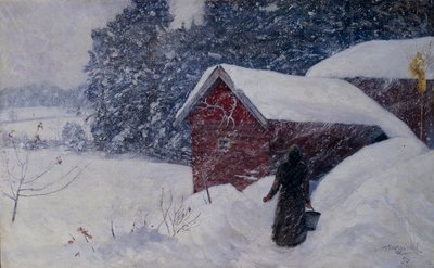 Snowstorm by Anders Kongsrud